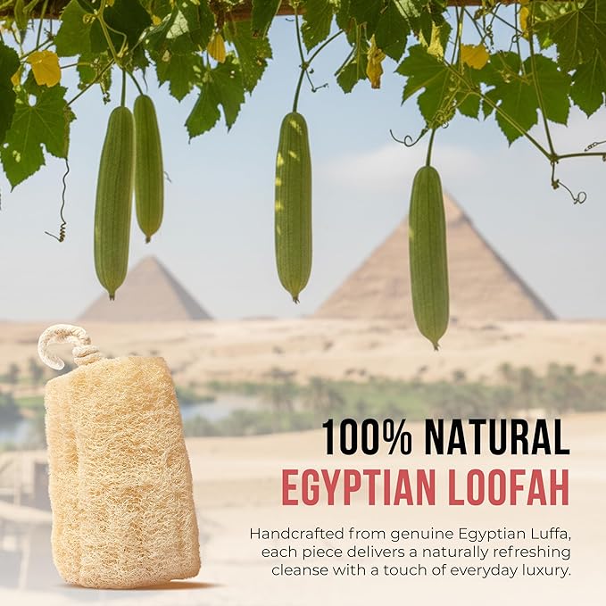 CraftsOfEgypt Luffa Body Scrubber – Plant-based Egyptian loofah shower sponge for men and women, luxury bath loofah sponge for face, back & body, gentle body scrubber, spa loofah pack of 3, 6x6 Inches