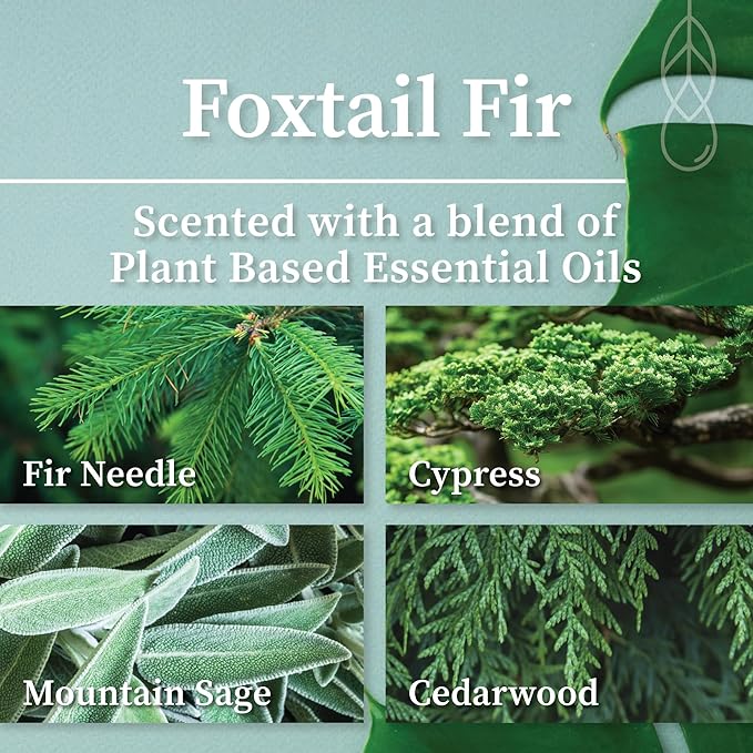 Hemlock Park Foxtail Fir Apothecary Hand-Poured Scented Candle | Crackling Wood Wick, Botanical Fragrance & Coconut Wax | Up to 60 Hour Burn Time | 8 oz