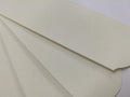 120 GRIT Stainless Steel Pedicure File Refill Pads, 60 Count (120 GRIT White)