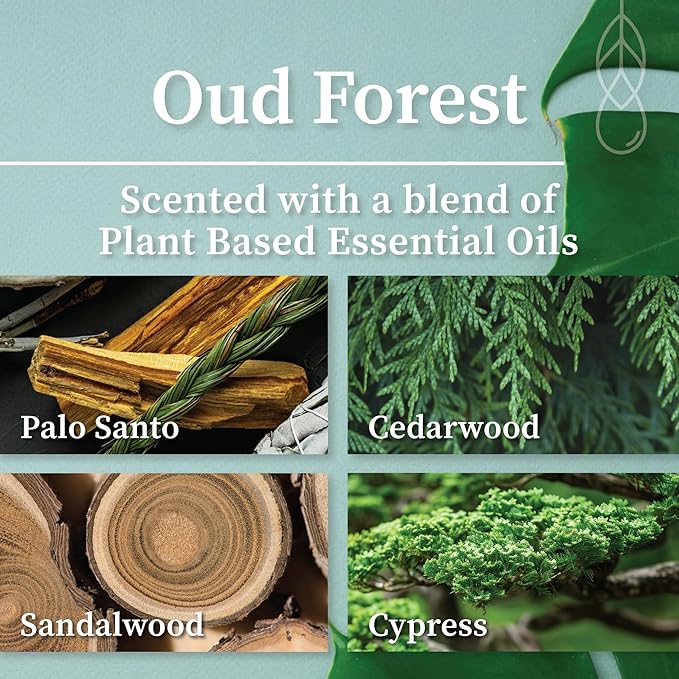 Hemlock Park Oud Forest Apothecary Hand-Poured Scented Candle | Crackling Wood Wick, Botanical Fragrance & Coconut Wax | Up to 60 Hour Burn Time | 8 oz