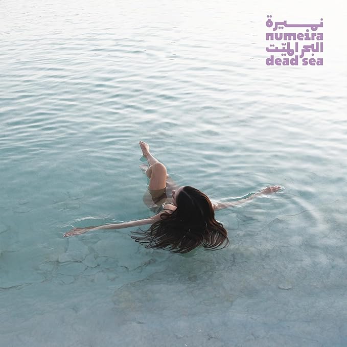 Dead Sea Salts for Soaking - Relaxing Salt Bath Soak for Body Rejuvenation - Natural Mineral Salts - Coarse Dead Sea Salt Bath Salts for Women & Men w/Lavender Infused Essential Oil (8.82 oz)