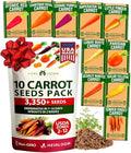 HOME GROWN Rainbow Carrot Seeds 10 Variety Mix 3350+ Heirloom Non-GMO Seeds for Planting, High Germination, Multi-Color Gourmet Root Vegetables, Kids Garden, Crunchy Fresh Eating (Daucus carota)