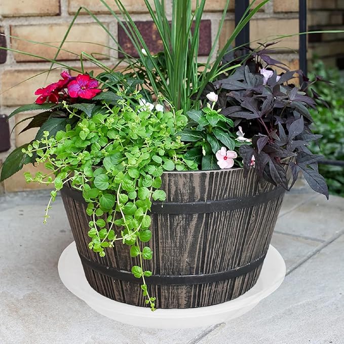 Plant Saucer - 2 Pack 22 Inch Extra Large Durable Plastic Plant Trays Clear, Extra-Deep 3.4" Plant Tray, Bird Bath Bowls for Garden