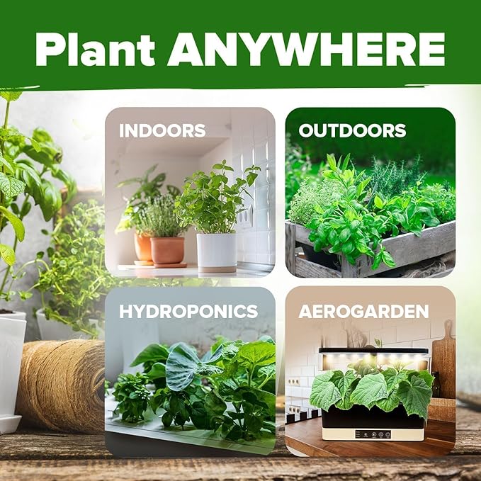HOME GROWN 30 Herb Seeds for Planting 10,900+ Non-GMO Heirloom Seeds | Extra Large Variety Pack Herb Kit – Indoor Outdoor & Hydroponic | Culinary Seed Set | Grow Your Own Herbs | Gardening Gift