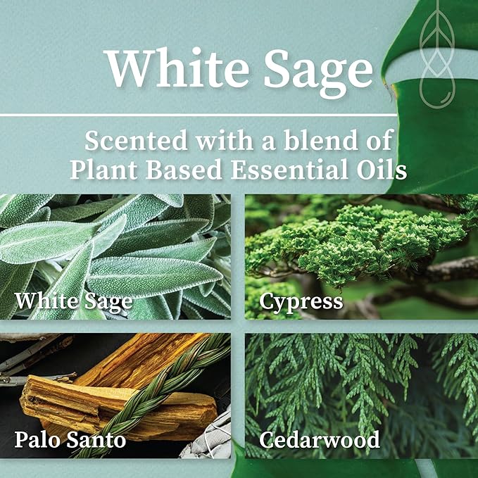 Hemlock Park White Sage Apothecary Hand-Poured Scented Candle | Crackling Wood Wick, Botanical Fragrance & Coconut Wax | Up to 60 Hour Burn Time | 8 oz