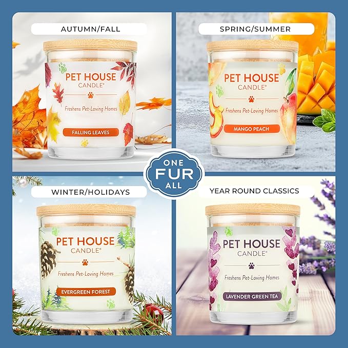 Pet House Cucumber Candles, Long Lasting Scented Candles for Pet Odors, 60 Hour Burn Time - Cucumber Mint, 9 oz