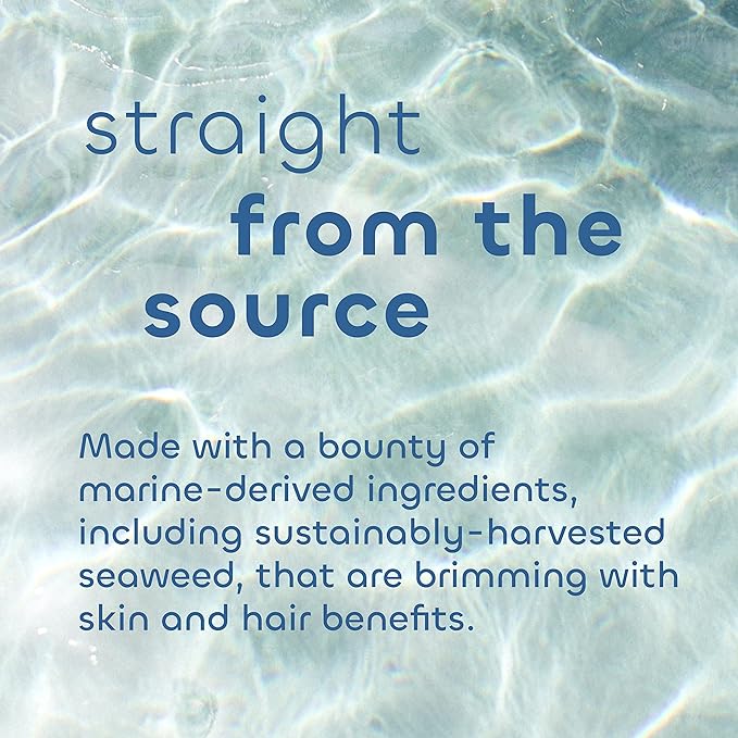 Seaweed Bath Co. Collagen Hand Cream, Rosemary Mint Scent, 2 Ounce, Sustainably Harvested Seaweed, Green Algae, Shea Butter