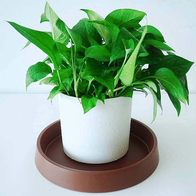 Plant Saucer Tray for Ceramic Plastic Pots, 20 inch Plant Saucers for Indoors, Pot Saucers Trays, Bird Bath Bowls, Flower Planter Water Drip Trays for Pots Base (20", Brown)