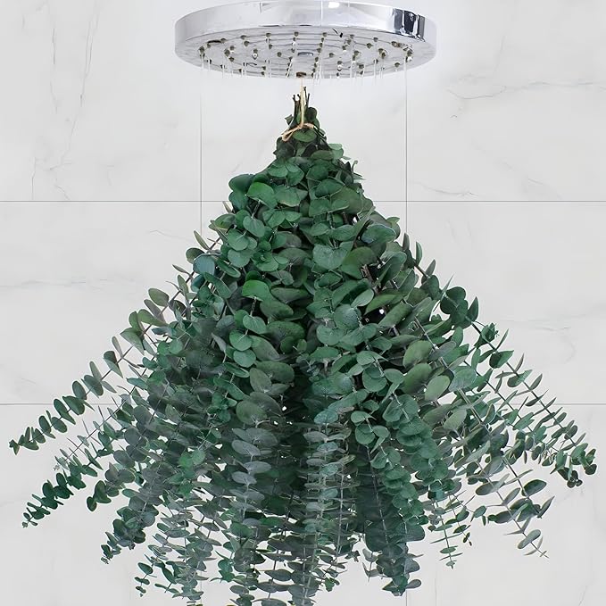 30 Pcs Eucalyptus for Shower, Dried Hanging Bundle -17in Real Eucalyptus Stems,100% Natural Leaves Greenery Stems & Aromatic Shower Plant, Home Decor, Party Present, Wedding Gift