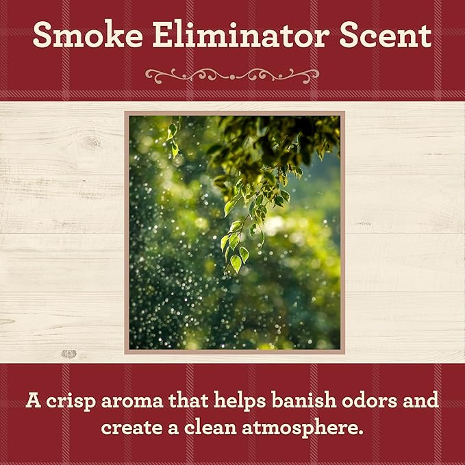 Our Own Candle Company, Smoke Eliminator Scented Mason Jar Candle, 100 Hour Burn Time - 13 Ounces