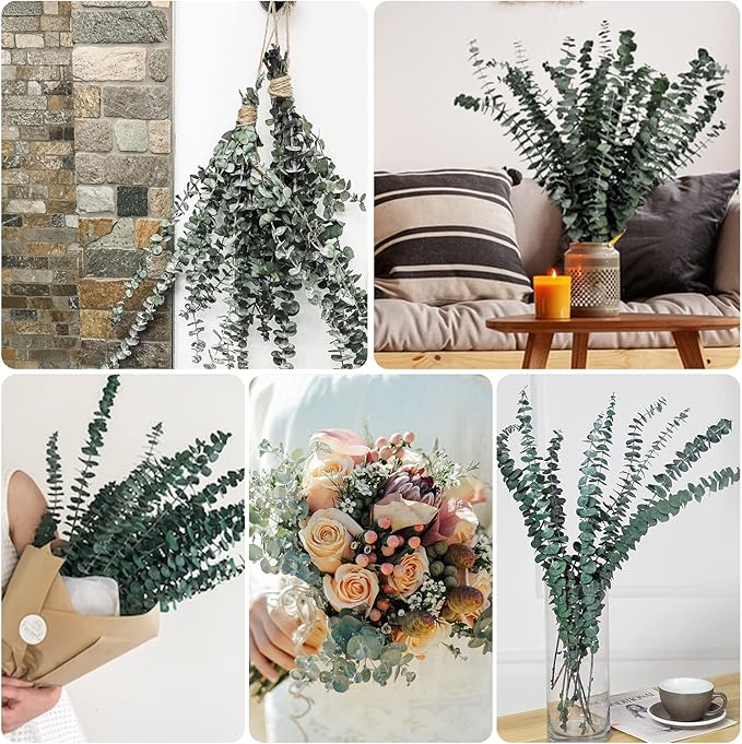 30 Pcs Eucalyptus for Shower, Dried Hanging Bundle -17in Real Eucalyptus Stems,100% Natural Leaves Greenery Stems & Aromatic Shower Plant, Home Decor, Party Present, Wedding Gift