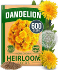 HOME GROWN Dandelion Seeds for Planting 600 Heirloom Medicinal Herb Seeds (~0.3g) Non GMO Grow Edible Leaves and Flowers for Remedies or Wildlife (Taraxacum officinale)