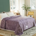 JET'S HOME Heated Blanket Twin 62"x84" - ETL&FCC Certified Flannel Electric Blanket Machine Washable Heating Blanket with 4 Heating Levels 10 Hours Auto-Off Overheating Protection (Purple)