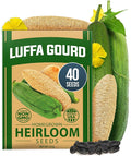 HOME GROWN Luffa Seeds 40 Heirloom Non-GMO Loofah Gourd Seeds for Planting, High Germination, Grow Your Own Natural Bath Sponges, Edible Vining Vegetable Garden, Harvest Young Gourd (Luffa aegyptiaca)