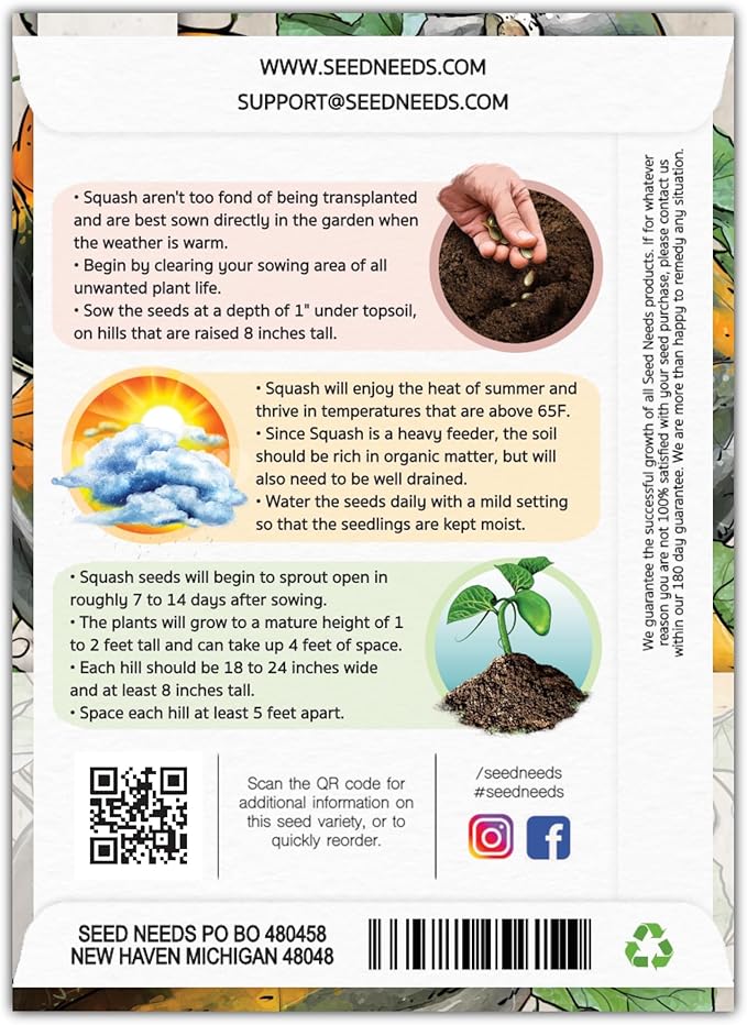 Seed Needs, Table King Acorn Winter Squash Seeds - 45 Heirloom Seeds for Planting Cucurbita Pepo - Non-GMO & Untreated Vegetable for an Outdoor Garden (2 Packs)