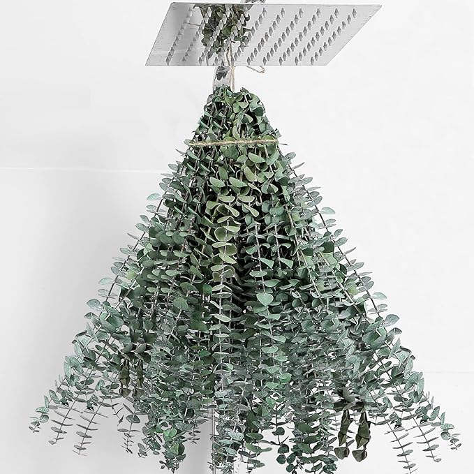30 Pcs Dried Eucalyptus Stems 17" Real Eucalyptus for Shower Hanging 100% Made from Fresh Leaves, Wedding, Home, Farmhouse, DIY Spring Decor