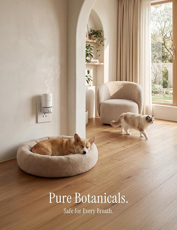 SF101S Pro Smart Plug in Air Freshener for Home, Waterless Essential Oil Diffuser, Aromatherapy Home Diffuser, 120-Day Natural Aroma Mist – Free 30ml Coastal Blossom (Baby Blue)