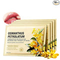 AKARY 10Pcs Osmanthus Nourish & Tender Lip Mask, Reduce Lip Wrinkles, Radiant & Tender, Reducing Chapped, Smoothing Fine Lines Lips Patches, Travel Size Toiletries, Birthday Gifts for Women,Vegan (10)