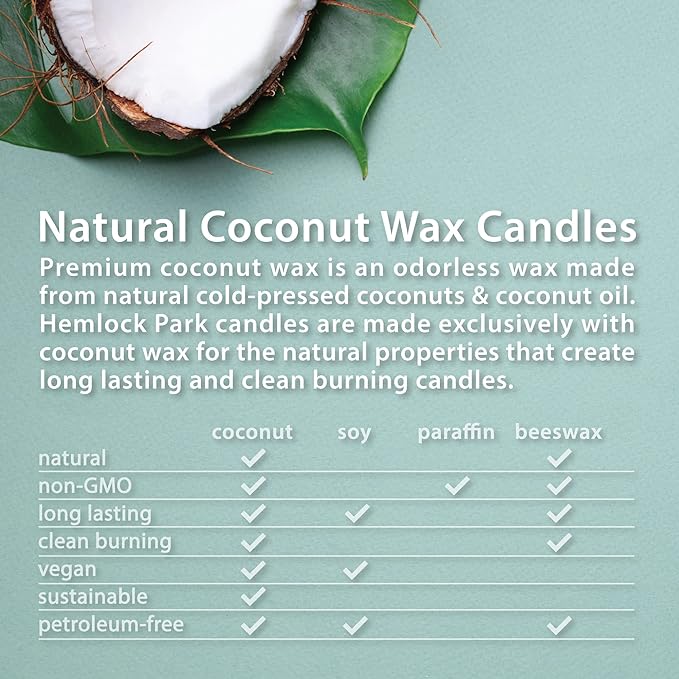 Hemlock Park Crackling Wood Wick Candle Handcrafted with Natural Coconut Wax (Large 16 oz, Sandalwood)