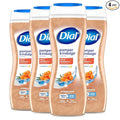 Dial Body Wash, Pamper & Indulge, Silk & Seaberry, 16 fl oz (Pack of 4)
