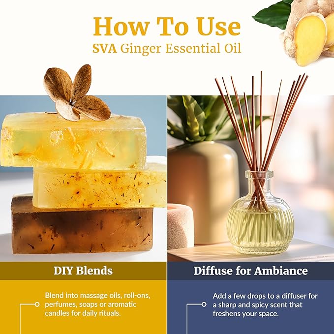 SVA Ginger Essential Oil – 1 Fl Oz – 100% Natural Ginger Oil - for Diffuser, Hair Care, Face, Skin Care, Aromatherapy, Scalp and Body Massage, Soap and Candle Making – with Dropper
