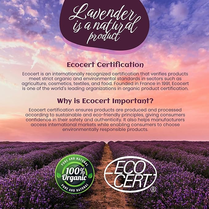 Soap Infused Sponge Scrubber – Farm Fresh Lavender Essential Oil – 2-in-1 Exfoliating Body Wash & Massage Bar for Cellulite, Dead Skin, Blackheads - (Lavender Spa)
