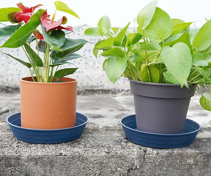 LWALRS Plant Saucer 14 Inch 2 Pack 6 8 10 12 14 16 18 20 25, Plastic Plant Trays for Pots，Extra-Deep Plant Water Dray Tray, Bird Bath Bowl, Heavy Flower Plant Saucers Indoors and Outdoor No Holes