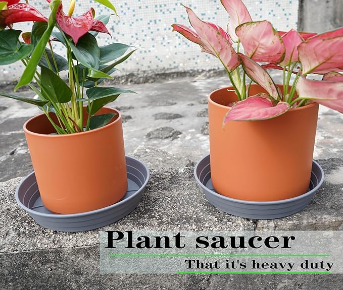 Plant Saucer 8 Inch 4 Pack 6 8 10 12 14 16 18 20 25, Plastic Plant Trays for Pots，Extra-Deep Plant Water Dray Tray, Bird Bath Bowl, Heavy Flower Plant saucers Indoors and Outdoor No Holes 8in-4 grey