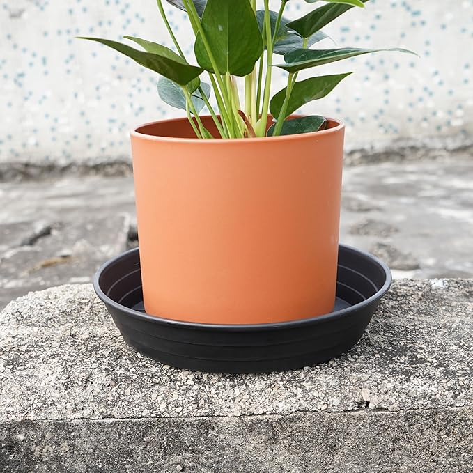 LWALRS 4 Packs 8 Inches Plant Saucer Drip Trays, Round Plastic Plant Pot Saucers Flower Pot Tray for Indoor Outdoor