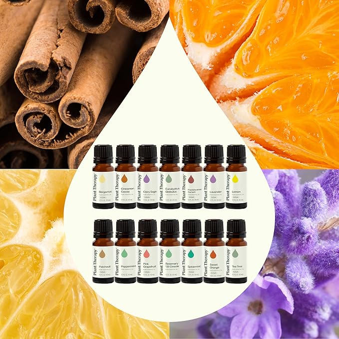 Plant Therapy Top 14 Essential Oil Set, 10 mL (1/3 oz) Bottles of Lavender, Eucalyptus, Peppermint, Orange Sweet, Lemon & More, 100% Pure, Undiluted, for Topical Use & Essential Oil Diffusers