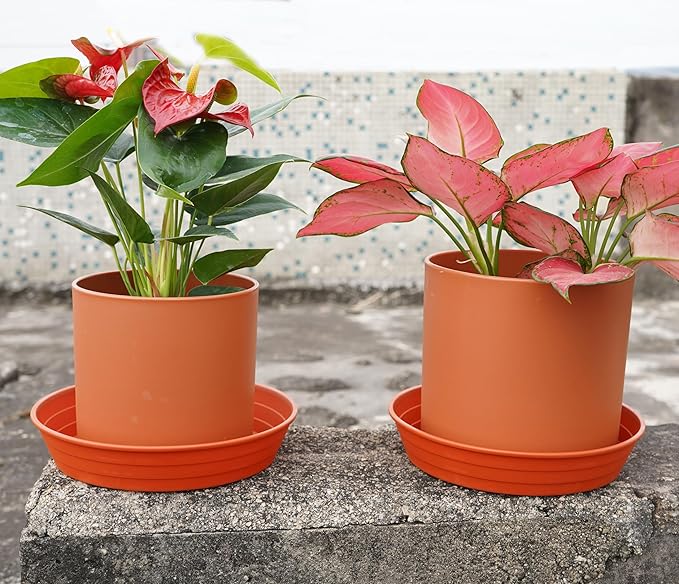LWALRS Plant Saucer 14 Inch 4 Pack 6 8 10 12 14 16 18 20 25, Plastic Plant Trays for Pots，Extra-Deep Plant Water Dray Tray, Bird Bath Bowl, Heavy Flower Plant Saucers Indoors and Outdoor No Holes