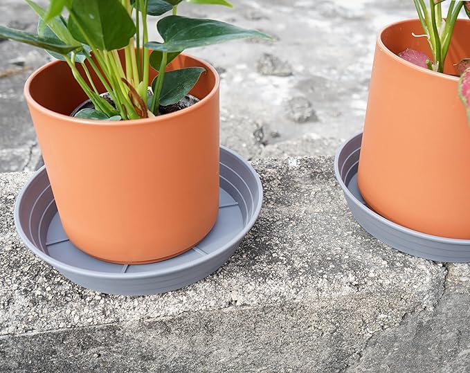 LWALRS Plant Saucer 14 Inch 4 Pack 6 8 10 12 14 16 18 20 25, Plastic Plant Trays for Pots，Extra-Deep Plant Water Dray Tray, Bird Bath Bowl, Heavy Flower Plant Saucers Indoors and Outdoor No Holes