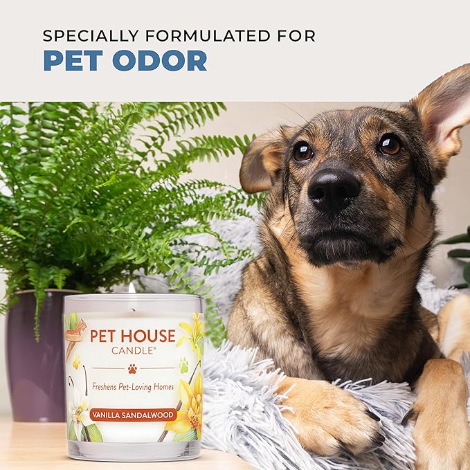 Pet House Cucumber Candles, Long Lasting Scented Candles for Pet Odors, 60 Hour Burn Time - Cucumber Mint, 9 oz