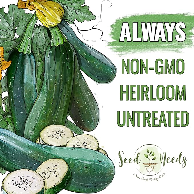 Seed Needs Black Beauty Squash Seeds for Planting Zucchini Summer Squash - Non-GMO, Heirloom & Untreated - Prolific Yields of Delicious Zucchinis in a Home Grown Outdoor Vegetable Garden (2 Packs)