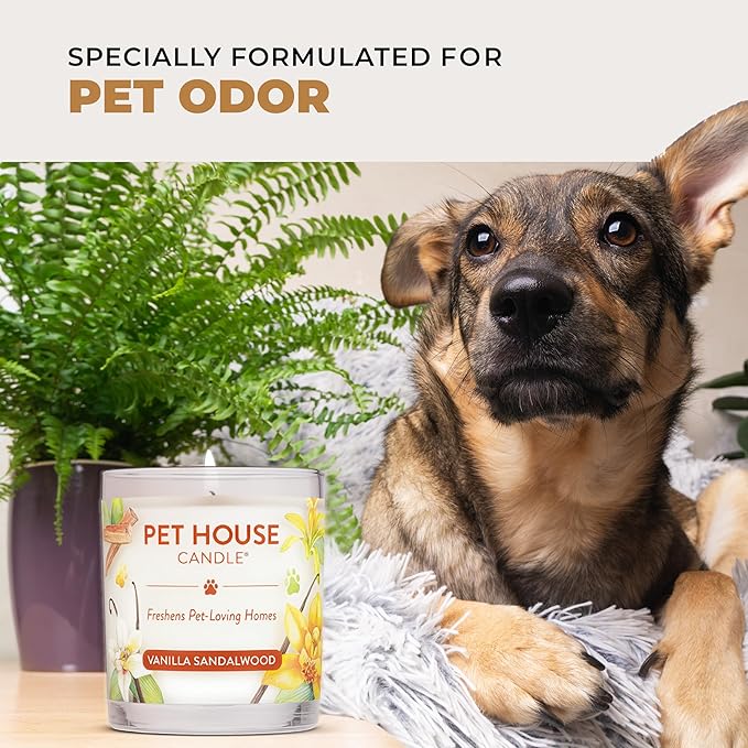 Pet House Candles, Clean Long-Burning, Scented Pet Friendly Candles, Plant-Based, 60 Hour Burn Time - Ocean Driftwood, 9 oz