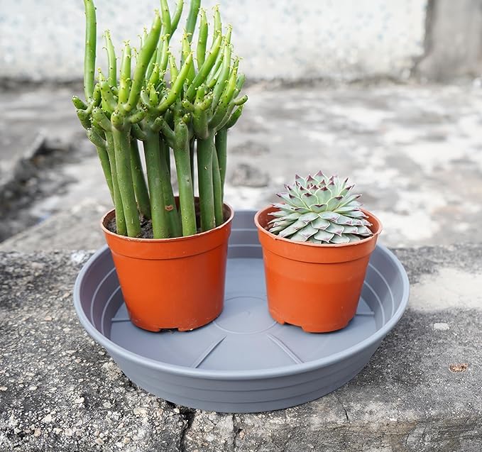 LWALRS Plant Saucer 14 Inch 4 Pack 6 8 10 12 14 16 18 20 25, Plastic Plant Trays for Pots，Extra-Deep Plant Water Dray Tray, Bird Bath Bowl, Heavy Flower Plant Saucers Indoors and Outdoor No Holes