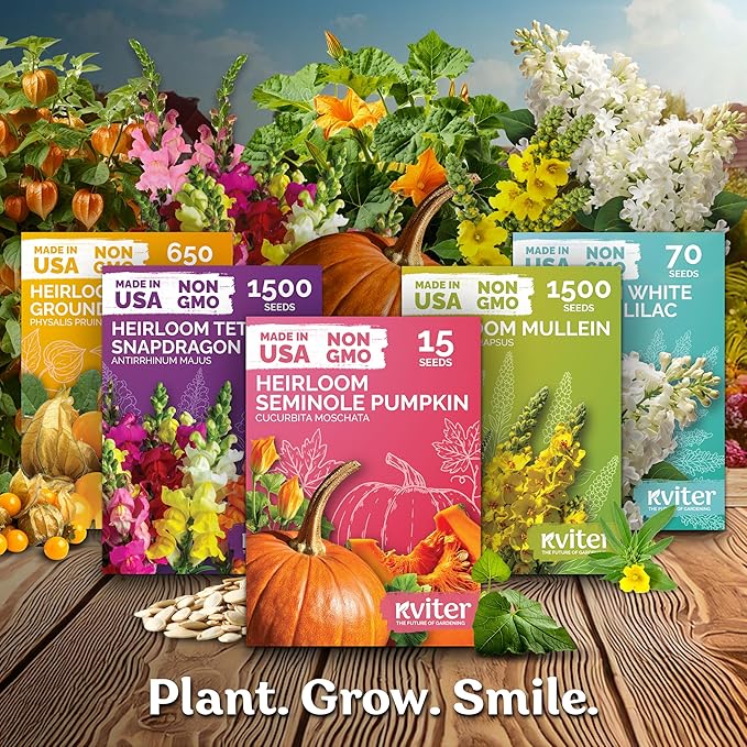 KVITER 400 Bloomsdale Spinach Seeds (Spinacia oleracea) — Non-GMO & Heirloom, Heat Tolerant, Cut and Come Again — Spinach Organic Vegetable Seeds for Planting in Outdoor & Indoor Garden, Containers