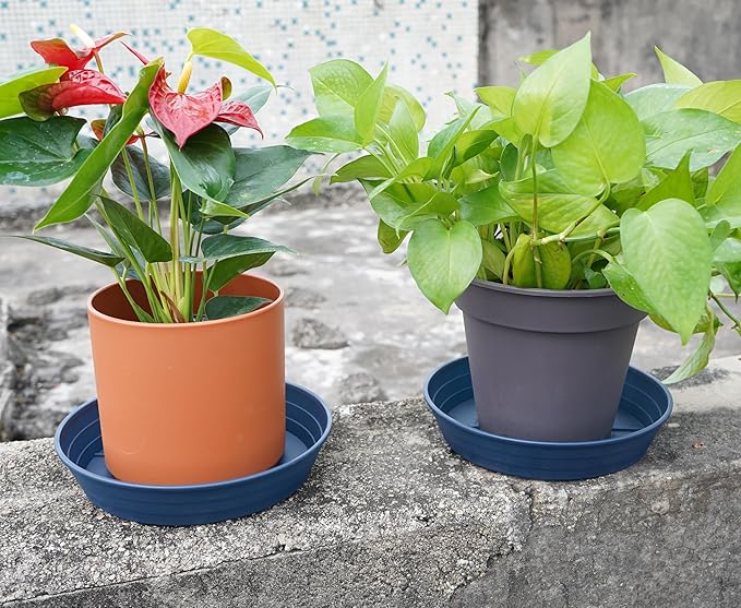 LWALRS Plant Saucer 14 Inch 2 Pack 6 8 10 12 14 16 18 20 25, Plastic Plant Trays for Pots，Extra-Deep Plant Water Dray Tray, Bird Bath Bowl, Heavy Flower Plant Saucers Indoors and Outdoor No Holes