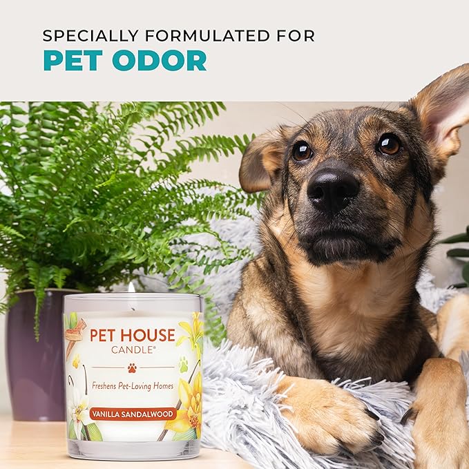 Pet House Candles, Plant-Based, Clean Burning, Long Lasting Pet Friendly Candles for Home - Mediterranean Sea, 2 Pack