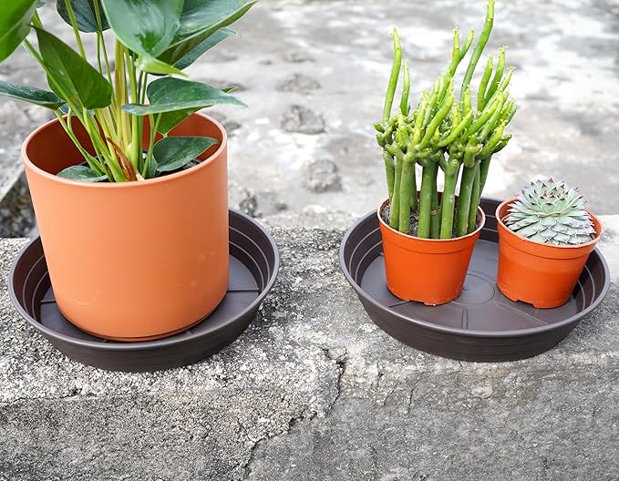 LWALRS Plant Saucer 14 Inch 2 Pack 6 8 10 12 14 16 18 20 25, Plastic Plant Trays for Pots，Extra-Deep Plant Water Dray Tray, Bird Bath Bowl, Heavy Flower Plant Saucers Indoors and Outdoor No Holes