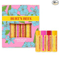 Burt's Bees Gifts Ideas - In Full Bloom Lip Balm Set, Original Beeswax, Dragonfruit Lemon, Tropical Pineapple & Strawberry, Natural Origin Lip Treatment, 4 Tubes, 0.15 oz. (Pack of 8)