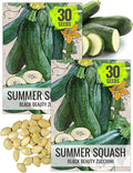 Seed Needs Black Beauty Squash Seeds for Planting Zucchini Summer Squash - Non-GMO, Heirloom & Untreated - Prolific Yields of Delicious Zucchinis in a Home Grown Outdoor Vegetable Garden (2 Packs)