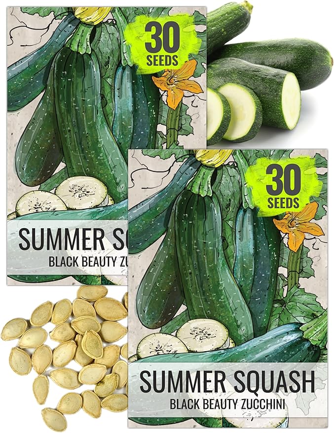 Seed Needs Black Beauty Squash Seeds for Planting Zucchini Summer Squash - Non-GMO, Heirloom & Untreated - Prolific Yields of Delicious Zucchinis in a Home Grown Outdoor Vegetable Garden (2 Packs)