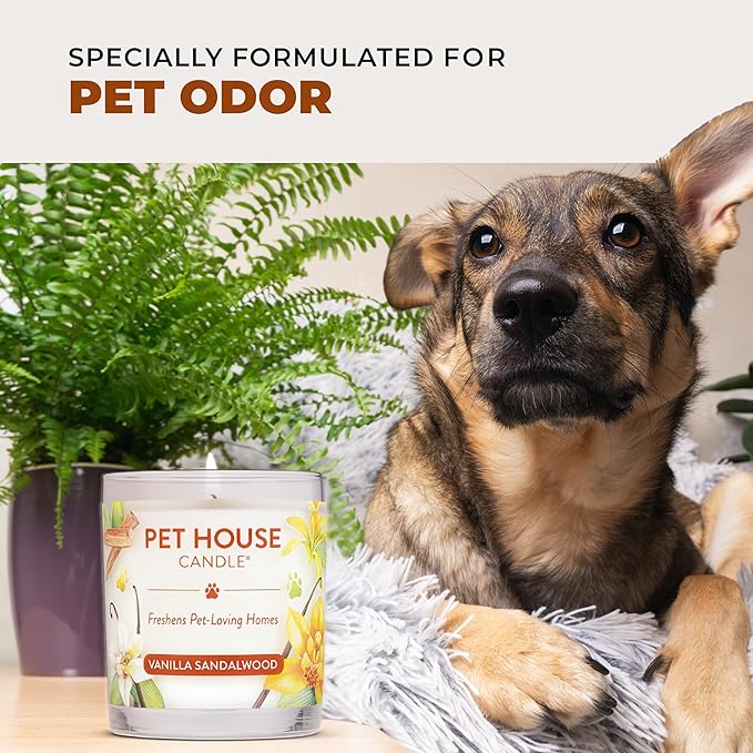 One Fur All Pet House Fall Candles, Long Lasting, Clean Burning, Soy Wax Scented Candles for Pet Odor, Pumpkin Spice