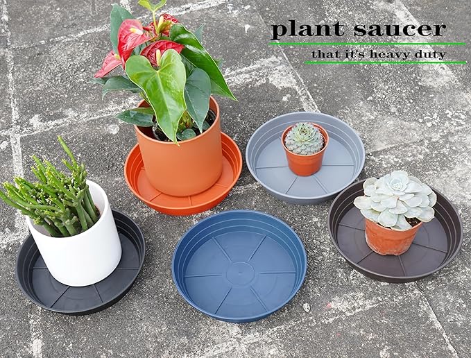Plant Saucer 8 Inch 4 Pack 6 8 10 12 14 16 18 20 25, Plastic Plant Trays for Pots，Extra-Deep Plant Water Dray Tray, Bird Bath Bowl, Heavy Flower Plant saucers Indoors and Outdoor No Holes 8in-4 grey