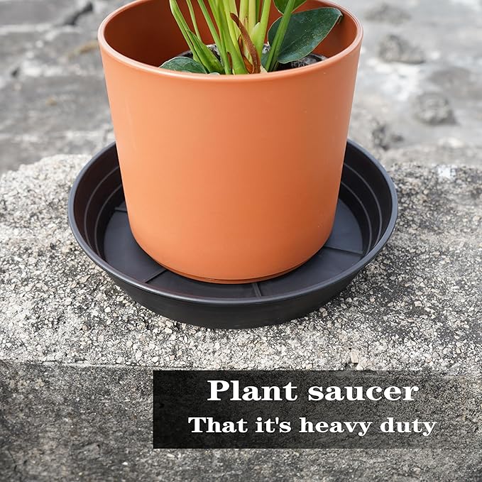 LWALRS 4 Packs 6 Inches Plant Saucer Drip Trays, Round Plastic Plant Pot Saucers Flower Pot Tray for Indoor Outdoor