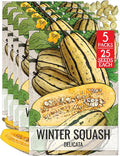 Seed Needs Winter Squash Seeds for Planting Delicata Squashes - Non-GMO Heirloom & Untreated Vegetable Seed to Plant an Outdoor Home Grown Veggie Garden