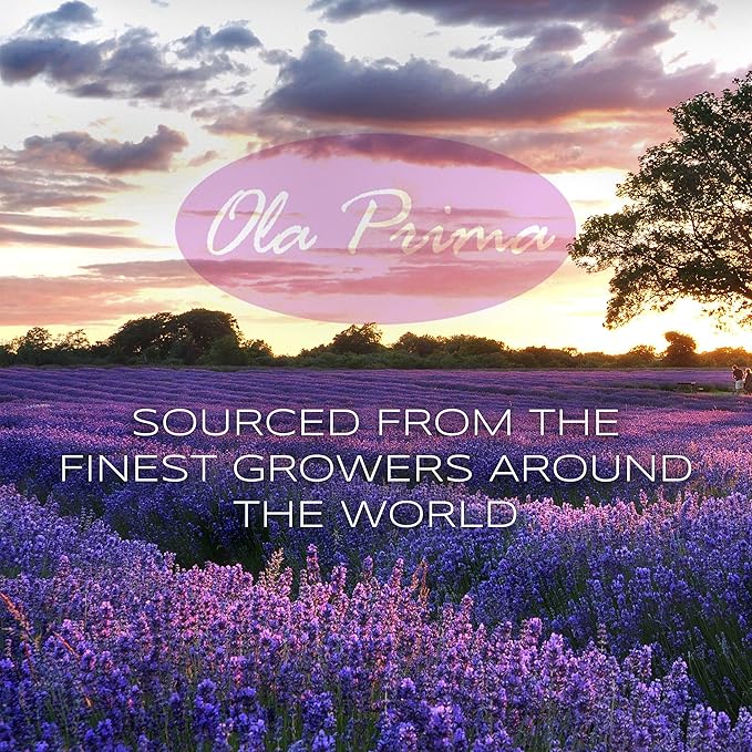Ola Prima Oils 4oz - Oregano Essential Oil - 4 Fluid Ounces